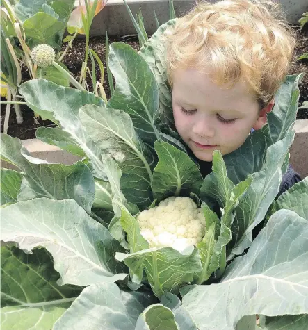  ??  ?? If your heart takes you in the farming direction, writer Donna Balzer suggests you read The Market Gardener before calling a realtor.