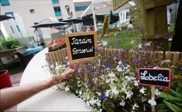  ??  ?? Un tapis sensoriel composé de moult plantes, de petits cailloux et de copeaux de bois permet aux patients de décupler leurs sens et de raviver des souvenirs.