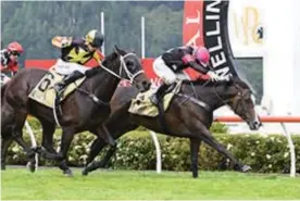  ?? Photo / Race Images ?? Craig Grylls will ride Coventina Bay in the Group 1 $200,000 Breeders Stakes at Te Aroha tomorrow as Sam Collett sticks with Levante.