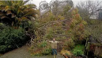  ?? PHOTO: MYTCHALL BRANSGROVE/STUFF ?? Timaru resident Ricky Harper with the tree that blocked his driveway.