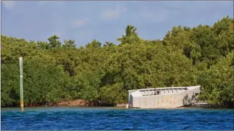  ??  ?? Au sud d’Elliott Key, une barque qui a dû transporte­r des immigrants cubains est échouée dans la mangrove.