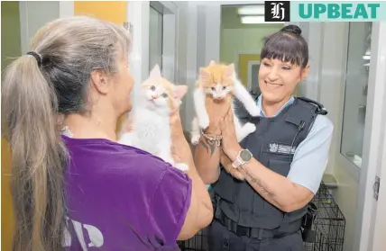  ?? Photo / Mark Mitchell ?? Inmate Tess with deputy prison director Sue Abraham at Arohata Upper Prison in Upper Hutt.