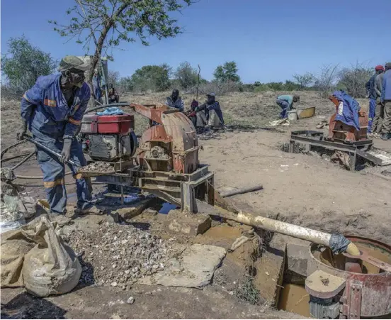  ?? ?? Illegal gold mining in Zimbabwe has been a significan­t source of livelihood for many people.