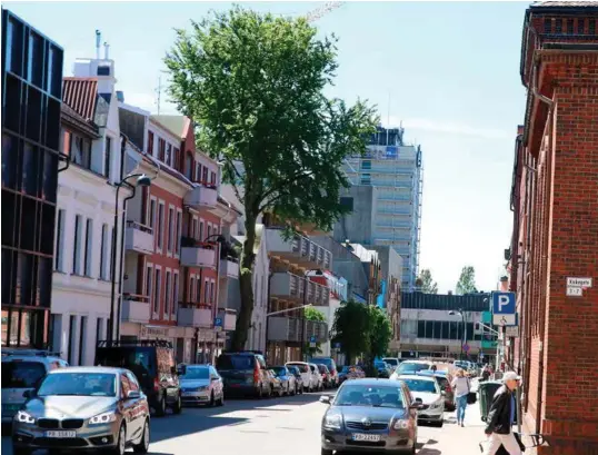  ?? FOTO: LARS HOLLERUD ?? Bøketreet utenfor Kongens gate 14 er definert som fredet i gjeldende murbyplan. Per Fronth eier nabogården vegg i vegg.