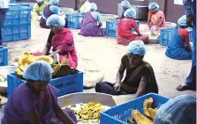  ??  ?? ( Clockwise from left) An automatic roti-making machine; women dice vegetables at a centre; teachers serve meals at a school; food is packed in containers for transporta­tion; ( below) an insulated delivery van