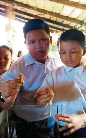  ??  ?? Two primary school pupils holding the butod or sago worm at the Monsopiad Cultural Village in Penampang.