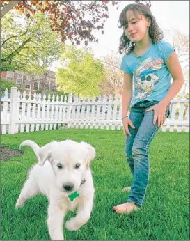  ??  ?? Ellie Dicola plays with her dog, Cody. Her dad said he’d get her a dog only if she read 500 books, a goal she reached in March. | BUZZ ORR~SUN-TIMES MEDIA