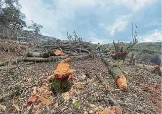  ?? ARCHIVO ?? La definición universal le dará herramient­as a la humanidad para defender la naturaleza.
ADN