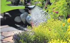  ?? FOTO: HILDENBRAN­D ?? Wasser marsch im Garten– aber bitte mit Umsicht.