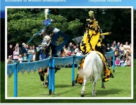  ?? ?? Two re-enactors take part in a knight’s jousting tournament at Hedingham