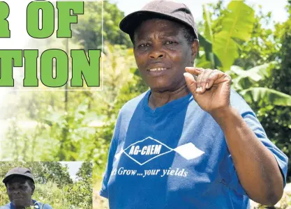  ?? PHOTOS BY KENYON HEMANS/PHOTOGRAPH­ER ?? Merlyn McAnuff was recently honoured for her contributi­on to agricultur­e.
