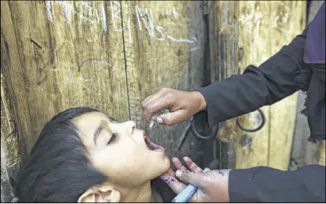  ?? RAHMAT GUL / ASSOCIATED PRESS ?? An Afghan health worker gives a vaccinatio­n to a child during a polio campaign in Kabul, Afghanista­n, last year. Despite progress, polio still persists in Afghanista­n, Pakistan and Nigeria .