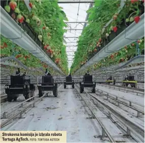  ?? FOTO: TORTUGA AGTECH ?? Strokovna komisija je izbrala robota Tortuga AgTech.