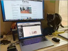  ?? CARLOS VIRGEN THE DAY ?? Day Digital News Director Carlos Virgen’s cat Luna inspects his workfrom-home space.