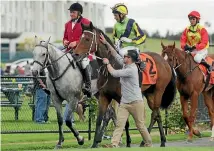  ?? PHOTO: TRISH DUNELL ?? Handler Troy Harris congratula­tes Ugo Foscolo after Michael Coleman had ridden the gelding to win the Sarten Memorial at Te Rapa yesterday.