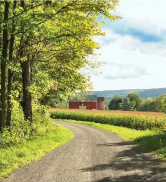  ??  ?? Laurie spent many hours riding her horse along Sturdevant Road, an unpaved path through blissful countrysid­e near Pulteney, New York.