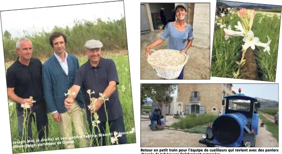  ??  ?? Fabrice son gendre (à droite) et Joseph Mul Chanel. parfumeur de Olivier Polge, Bianchi entourent Retour en petit train pour l’équipe de cueilleurs qui revient avec des paniers chargés de tubéreuses fraîchemen­t ramassées.