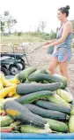  ??  ?? Above: A wheelbarro­w full of squash is sorted at TLC’s donation garden at Chesapeake Energy. Food harvested is donated to local charities.