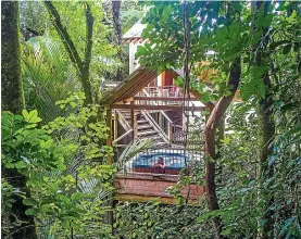  ??  ?? Listen to the sounds of the forest in the tree house spa at Te Nikau retreat.