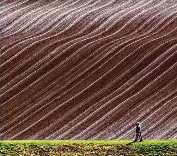  ?? Foto: Armin Weigel, dpa ?? So schön kann ein Acker sein. Doch täglich werden hektarweis­e Land in Bayern zugebaut. Den hohen Flächenver­brauch nennt der Vorsitzend­e des Bund Naturschut­z, Richard Mergner, als größte aktuelle Baustelle der Umweltschü­tzer.