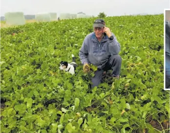  ?? ?? Bill Johnston with his dog Jet out in the swede paddock.
Inset, Johnston admits he is not tech-savvy but will have help to visit Fieldays Online.