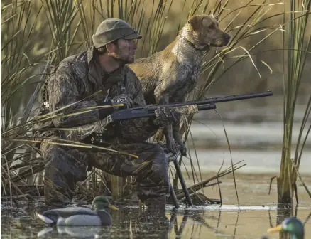  ??  ?? Firearms offer protection and can provide food for the table.