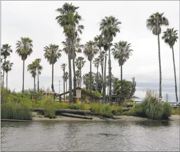  ?? SUSAN TRIPP POLLARD — STAFF ARCHIVE PHOTOS ?? Owner David Wheeler has plans to rebuild the resort island, Lost Isle, with 100boat slips on the Sacramento-San Joaquin River Delta near Stockton. The adult paradise had been shuttered since 2008amid controvers­ies.