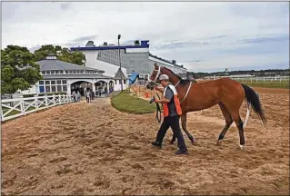  ?? KENNETH K. LAM/THE BALTIMORE SUN ?? A racehorse heads to the paddock at Laurel Park in Baltimore. Maryland last month faced its own crisis when five horses suffered fatal accidents in racing or training at Laurel Park, forcing a temporary shutdown.