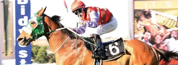  ??  ?? TOP WEIGHT. Captain Aldo is scheduled to carry 65.5kg in the Grand Heritage to be run at the Vaal on 30 September.