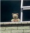  ??  ?? A teddy bear perched in the window of a Timaru house.