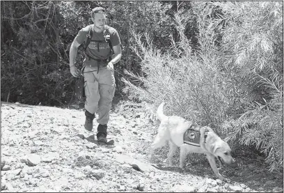  ?? GARY ANDREW / THE NATURE CONSERVANC­Y VIA THE NEW YORK TIMES ?? In an undated handout photo, Kyren Zimmerman and Tobias, a Labrador retriever who specialize­s in sniffing out the invasive Argentine ant, on Santa Cruz Island, in the Channel Islands National Park off the coast of California. With Tobias’ help, the...