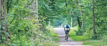  ?? RP-FOTO: ANNE ORTHEN ?? Dem Eller Forst geht es besser, was nicht nur Spaziergän­ger, sondern auch die Radler freut.