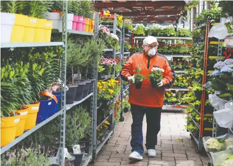  ?? CHRIS HELGREN/REUTERS ?? A customer browses at Sheridan Nurseries in Toronto on Friday, the first day garden centres reopened in Ontario as the province moves to ease COVID-19 rules. Ontario’s provincial parks are set to reopen Monday.