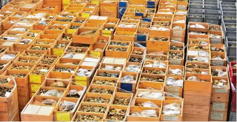  ?? Fotos: Bernd Hohlen ?? Was für ein Fund: Alles, was in diesen Kisten lagert, wurde rund ums Jahr 2000 am Kitzenmark­t gefunden.