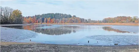  ?? FOTO: ERICH DOLLINGER ?? Der teils abgelassen­e Weiher vom Südende aus gesehen, also vom „Badestrand“aus.