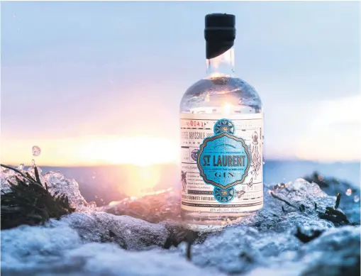  ??  ?? La Distilleri­e du St-Laurent, qui vient de remporter le titre de « meilleure distilleri­e de gin du Canada » dans le cadre de la New York Internatio­nal Spirits Competitio­n, a commencé à en livrer à la SAQ en janvier 2016.