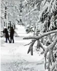  ?? Foto: dpa ?? So sah es neulich schon bei Oberjoch im Kreis Oberallgäu aus.