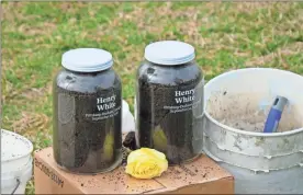  ?? Lem Arnold, Walker County Historical Society photograph­er ?? Soil collection jars are used in the ceremony to remember the lynching of Henry White in 1916.