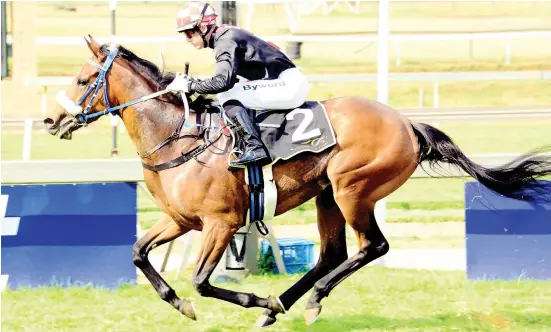  ??  ?? BEST BET. B Twenty One, who runs in Race 5 at Turffontei­n tomorrow, is Piere Strydom’s best bet on tomorrow’s card.