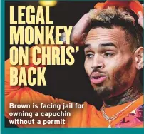  ??  ?? Brown is facing jail for owning a capuchin without a permit