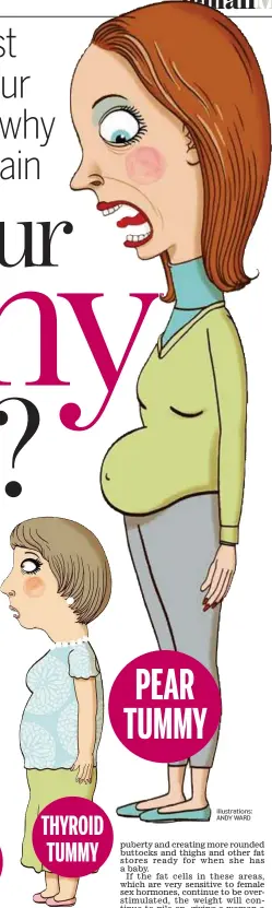  ?? Illustrati­ons: ANDY WARD ?? THYROID TUMMY PEAR TUMMY