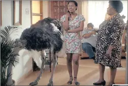  ??  ?? Sometimes ads really fly… like the latest TV ad for insurance company iWYZE, which speaks directly to young families, while others are guilty of being as dumb as an ostrich when it comes to logic or scientific facts (see Onion award below).