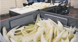  ?? GENEVIEVE ROSS/AP ?? Workers prepare lutefisk for packaging at the Olsen Fish Co. processing plant in Minneapoli­s.