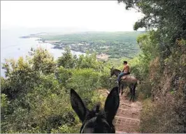  ??  ?? The view down to Kalaupapa from a turn in the steep, more-than-3-mile pali (cliff) trail.