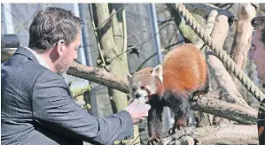  ?? FOTO: STADE ?? Michael Wolters von der Sparkasse Rhein-Maas mit Panda Spike.