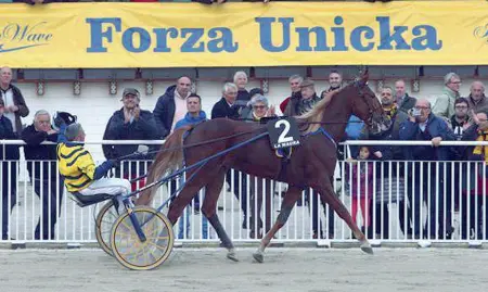  ??  ?? Uno dei due pregiati cavalli da corsa rubati nel pisano lo scorso 7 marzo: Unicka e Vampire Dany ancora non si trovano