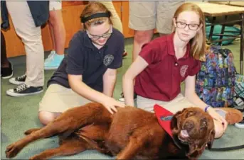  ?? MICHILEA PATTERSON — DIGITAL FIRST MEDIA ?? Two Coventry Christian Schools students pet Kahlua, a 4-year-old chocolate Labrador retriever. Kahlua is a pet therapy dog and visited the school during Mental Health Awareness Month.