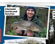  ??  ?? A fine barbel from the small Parva Pool.