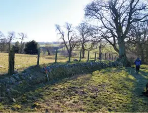  ??  ?? Below: A stone-faced earth bank near Newhouses Farm on the Wallington estate, looking south