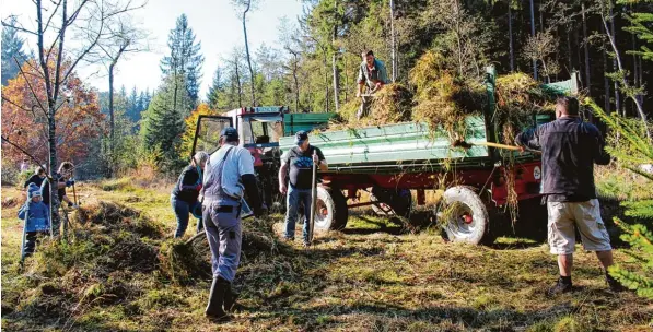  ?? Foto: Angela Rieblinger ?? Der Landschaft­spflegever­band Aichach Friedberg hat mit freiwillig­en Helfern von den Grubetfreu­nden und der Firma AFSR Aichach GmbH am Silberbrün­nl bei Hollenbach Pflegearbe­iten durchgefüh­rt, hier Mitarbeite­r der AFSR Aichach GmbH mit Landwirt Thomas...